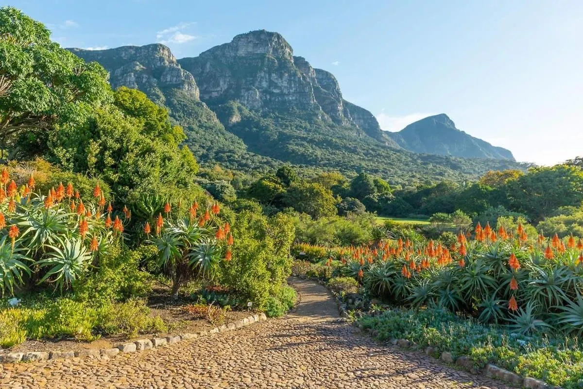Mountain Views- Family Home, Balcony, Views! Cape Town Apartment